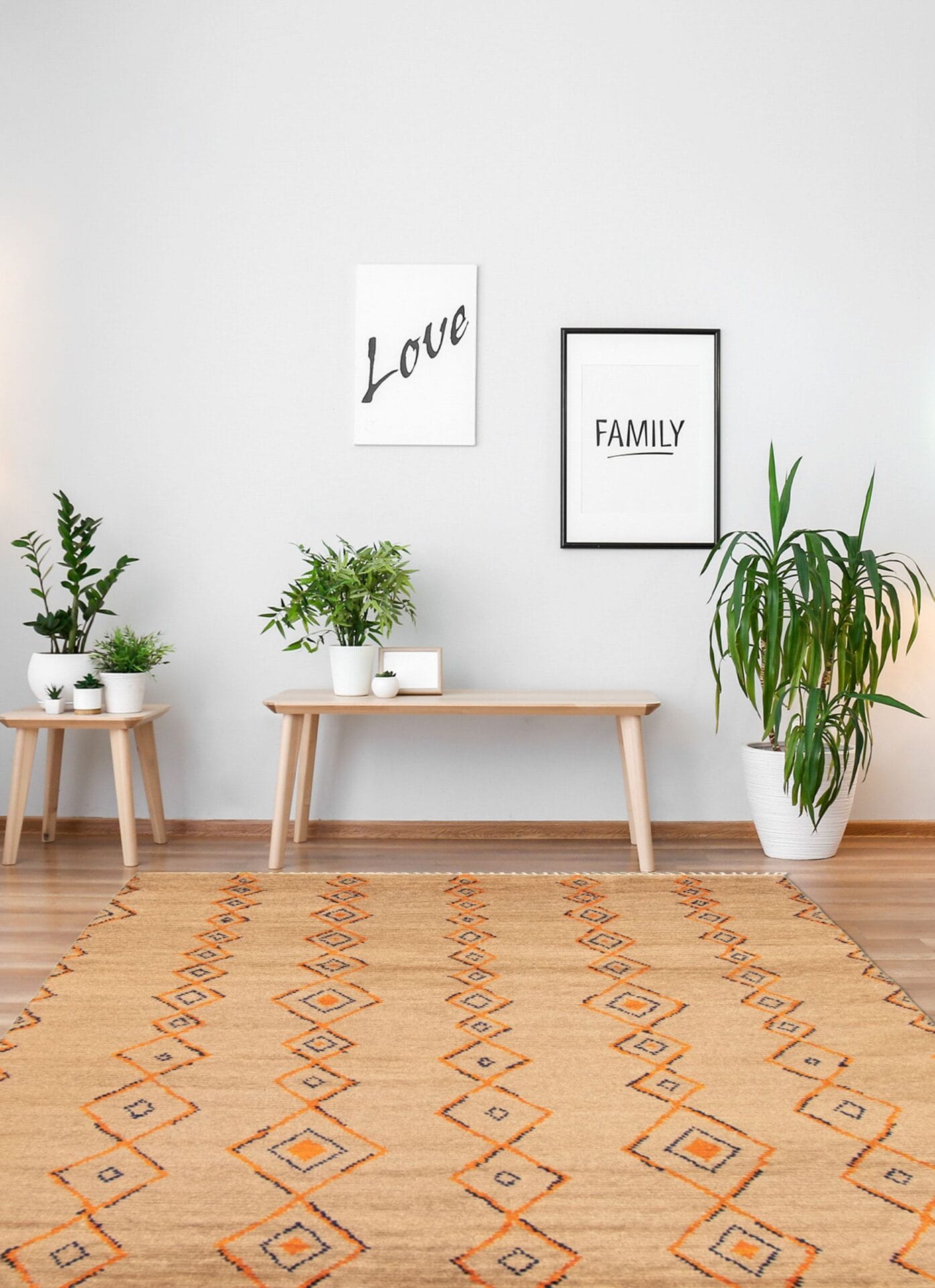 Sander plain rug brown